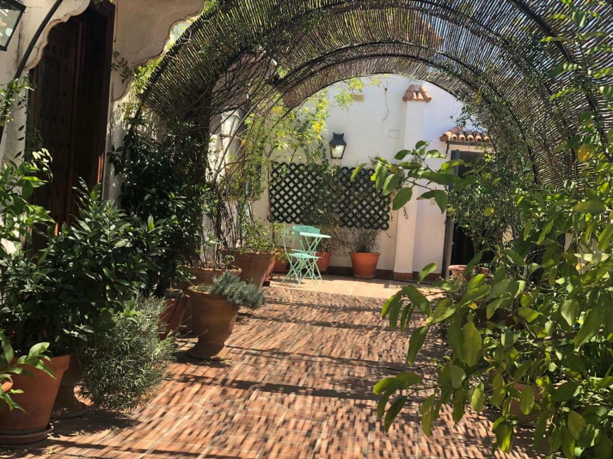 Ferienwohnung Cordoba Cool Vailima Exterior foto